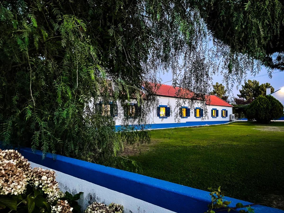 Quinta Do Cutato - Beatriz Guest House - Sotao Santo Estevao (Santarem) Exterior foto